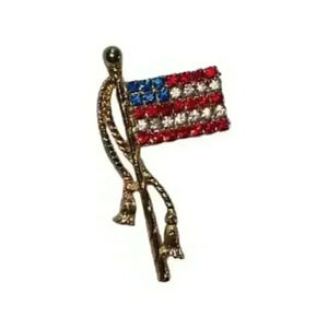Vintage American Flag Pin